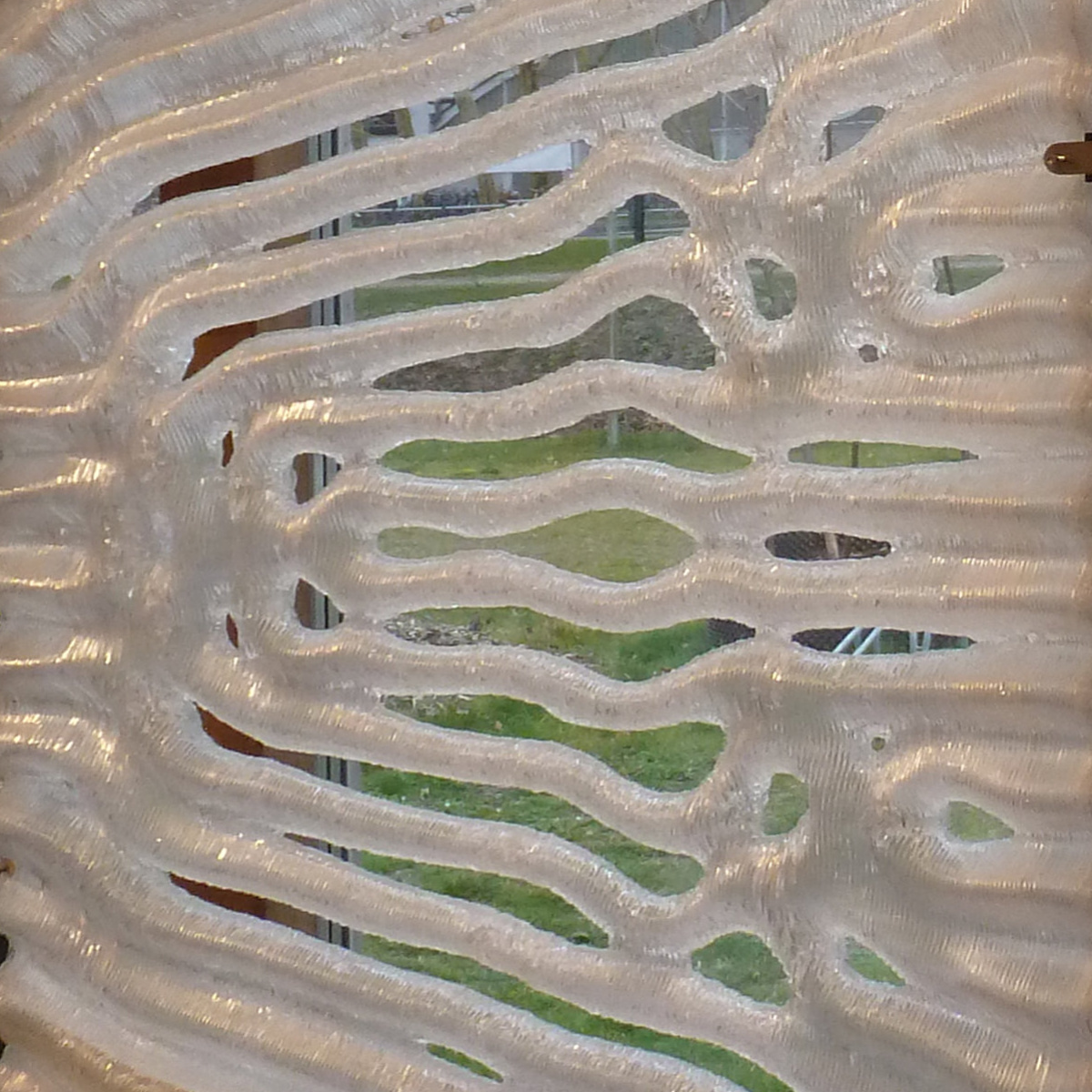 Cover image of IEBB